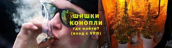крисы Белокуриха