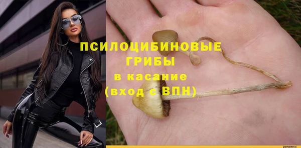 ешки Белоозёрский
