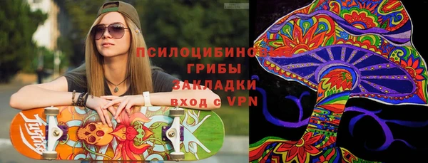 крисы Белокуриха
