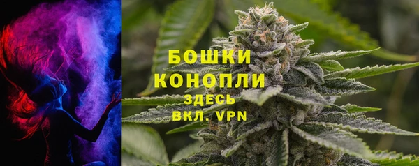 крисы Белокуриха