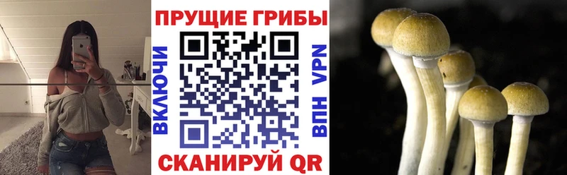 Псилоцибиновые грибы мухоморы  Киренск 
